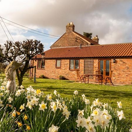 Morndyke Cottage Thirsk Esterno foto